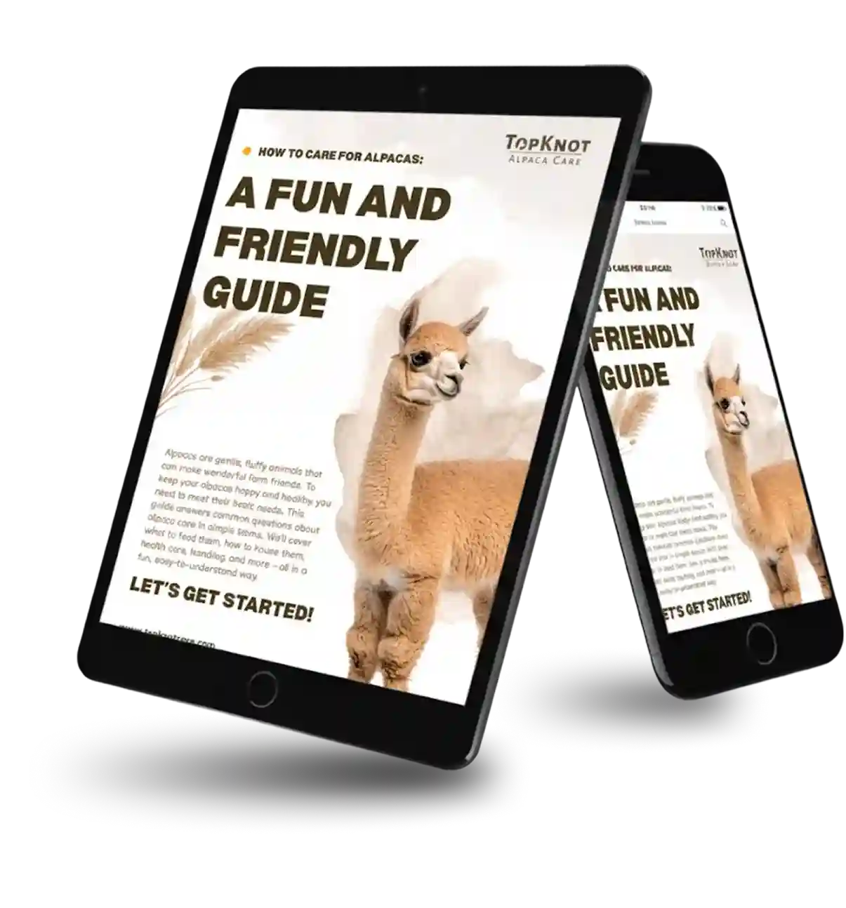top knot social media guides